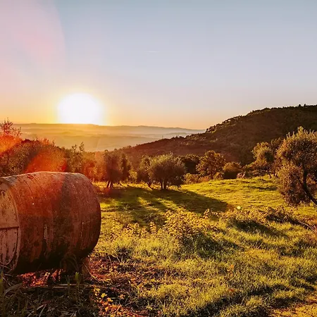 Campismo de Luxo Younicube *