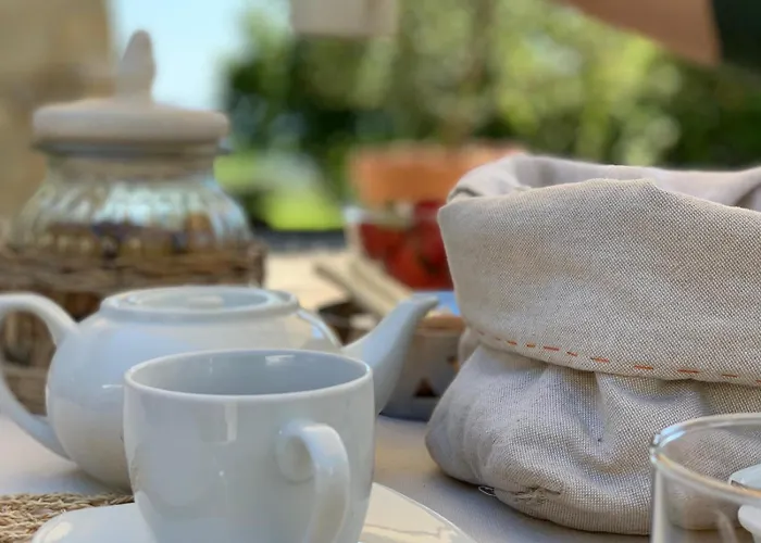 Younicube Campismo de Luxo