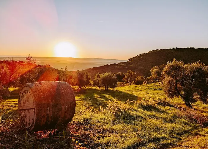 Campismo de Luxo Younicube *