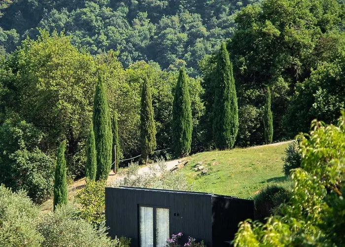 Younicube Campismo de Luxo