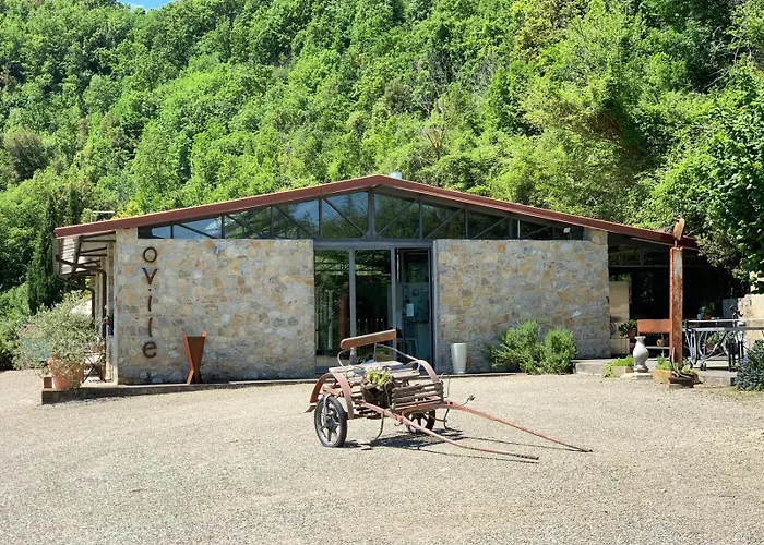 Younicube Campismo de Luxo