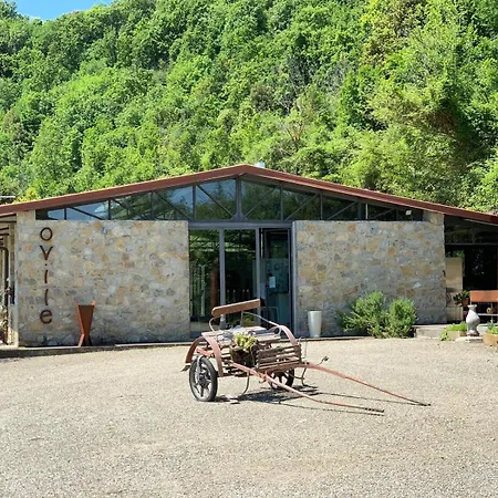 Younicube Luxury tent